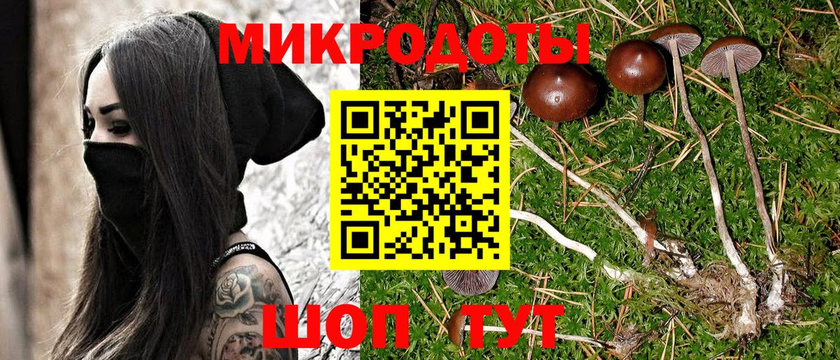 Псилоцибиновые грибы MAGIC MUSHROOMS Борзя