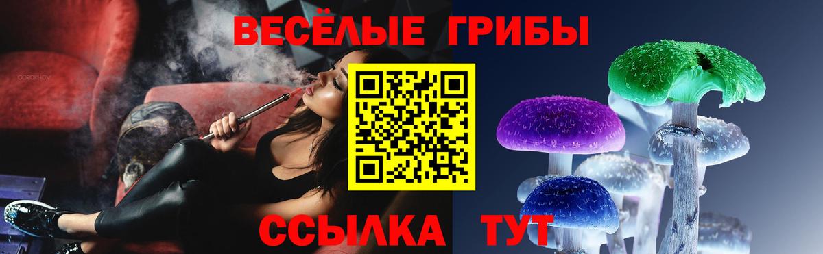 Борзя  Галлюциногенные грибы Psilocybe  Вход с VPN 