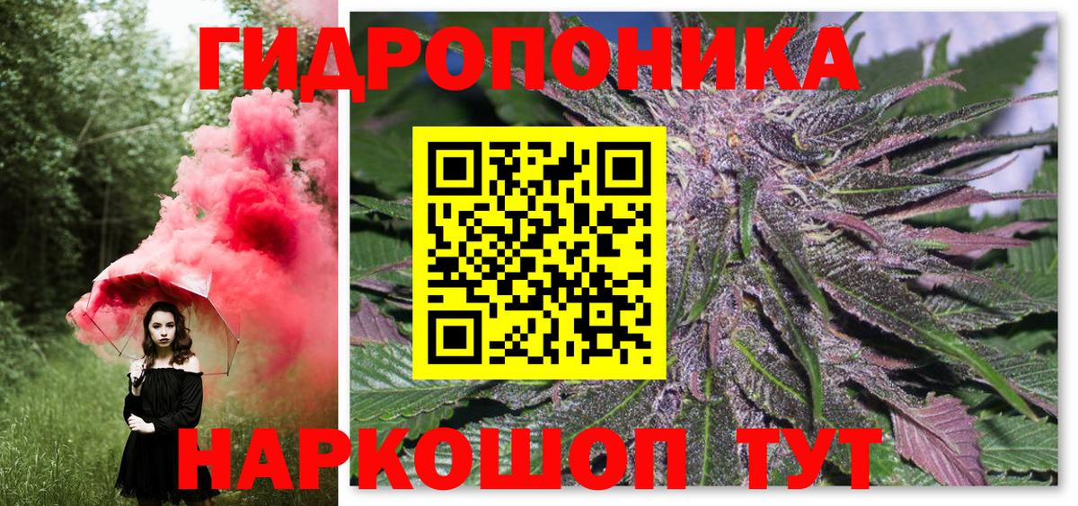 Конопля индика Борзя