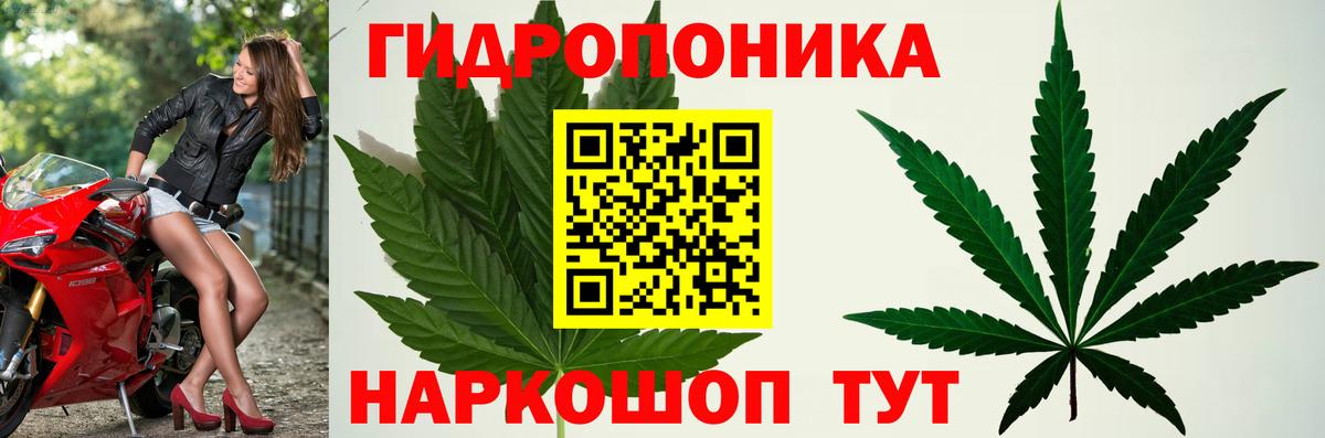 Каннабис THC 21%  Каннабис планчик  Вход с VPN  Марихуана индика  Борзя 